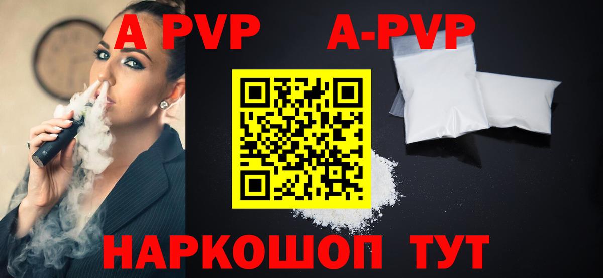 Alfa_PVP СК КРИС Сунжа