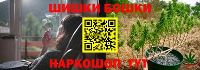гидропоника Новозыбков