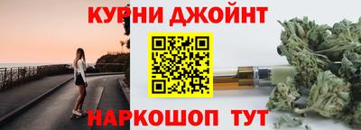 сатива Новодвинск