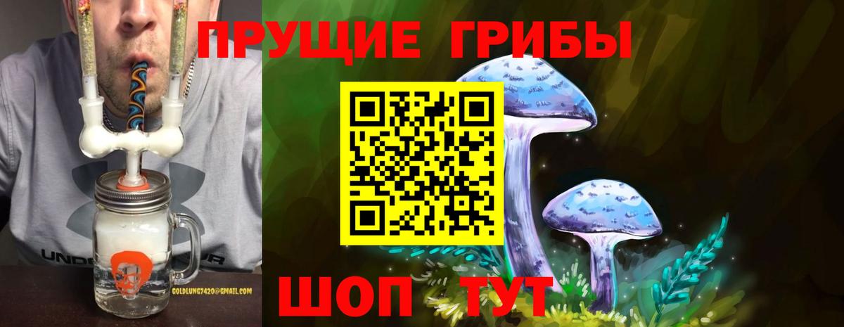 Псилоцибиновые грибы ЛСД Сунжа